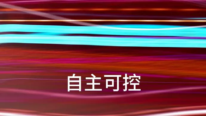 自主可控